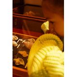 Koko Noko - Gebreide Trui - Lime