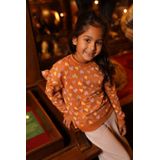 Koko Noko sweater bruin