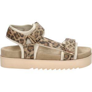 Maruti - Beau Sandalen Bruin - Leopard Brown
