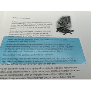 Gekleurde Leesliniaal - Set van 8 Kleuren - 19 x 7 cm - Transparant Plastic