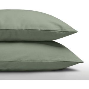 Zelesta Royalbed Kussenslopen Pastel Green Kussenslopen set van 2