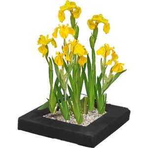 vdvelde.com - Gele Iris Drijvend planteneiland set - DIY - 4 Bloeiende gele Lis Waterplanten - Inclusief Drijfring, Vijvermand, Klei, Afdekgrind en Vijverplanten voeding - Van der Velde Waterplanten