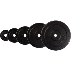 VirtuFit Gietijzeren Halterschijf Set - 2 x 10 kg