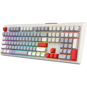 HXSJ V300 RGB Bedrade Gaming Toetsenbord - Membraan - QWERTY - Multicolor keycaps - Grijs