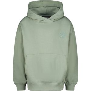 Raizzed jongens hoodie - Licht groen
