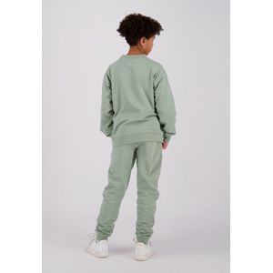 Raizzed jongens sweater - Licht groen