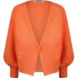 Vingino - Vesten - Koraal