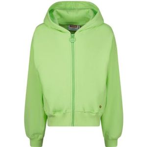 Vingino Meisjes Basic Zip Hoodie Terry Hooded Sweatshirt, groen, 4 Jaar
