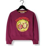 Vingino Sweater - Meisjes - Paars