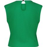 RAIZZED - SELA - Shirt - Groen