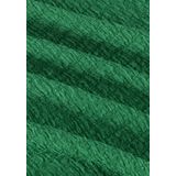 RAIZZED - SELA - Shirt - Groen