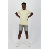 Raizzed Oregon - Grey Denim Short voor Jongens