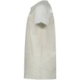 Raizzed - Hogan - T-shirt - Lichtgrijs Melange - Katoen