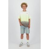 RAIZZED - HORIZON - T-shirt - Lime - Katoen