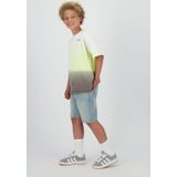 RAIZZED - HORIZON - T-shirt - Lime - Katoen