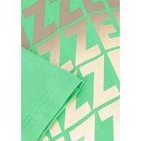 RAIZZED - HAW - Polo Shirt - Groen