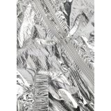 Raizzed - Mirle - Kinderjas - Zilver Metallic - Waterbestendig - Capuchon
