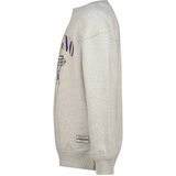 Vingino - Nuri - Hoodie - Lichtgrijs - Sweater