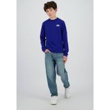 Raizzed - Harlan - Longsleeve - Blauw