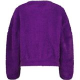 Raizzed - Gebreide Trui - Paars