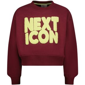 Vingino - Nomee - Sweater - Donkerrood