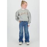 Vingino - Noran - Sweater - Grijs