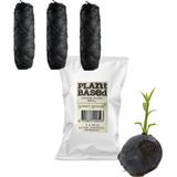 green-goose® Bio-based Flosdraad | Navulling | Houtskool | 3 x 3 meter | Biologisch Afbreekbaar| Vegan Maisvezel Flosdraad | Duurzaam | Milieuvriendelijk | Minimal Waste