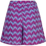 Lofty Manner - A-lijnrok - Grijs - 100% Polyester