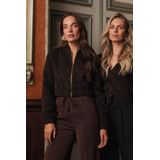 Lofty Manner Broek QL202.2 AMMELIN Donker bruin