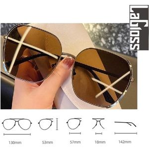 Lagloss® Grote Gradiënt Grijze Dames Zonnebril- Lenskleur Gradiënt Grijs - Zilver montuur