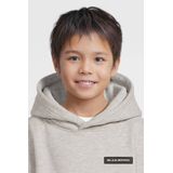 BLACK BANANAS - Hoodie - Lichtgrijs