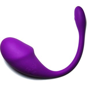 Mr. Erotica - Vibrerend ei met app - Vibrator - Lush 3.0 - Paars