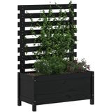 Plantenbak Met Rek /  79 x 39.5 x 114 cm / Zwart grenenhout