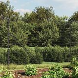 Maschendrahtzaun mit Bodenhülsen Anthrazit 2,2x10 m Vidaxl