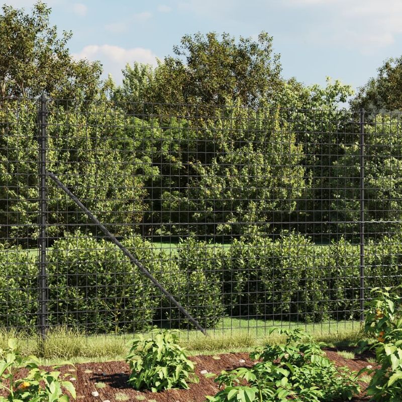 Maschendrahtzaun mit Bodenhülsen Anthrazit 2x10 m Vidaxl