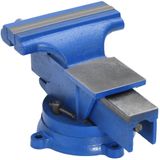 VidaXL-Bankschroef-125-mm-gietijzer-blauw