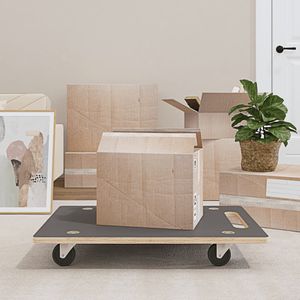 vidaXL - Meubelhondjes - 2 - st - rechthoekig - 250 - kg - 80x55x11,5 - cm