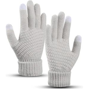 BOTC Handschoenen - Warm - Scooter / Fiets / Wandelen / Wintersport - Thermo - Thinsulate - Grijs