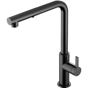 Keukenmengkraan Hotbath Ace Met Draaibare Uitloop En Uittrekbare Duo-spray Handdouche Gepolijst Zwart PVD