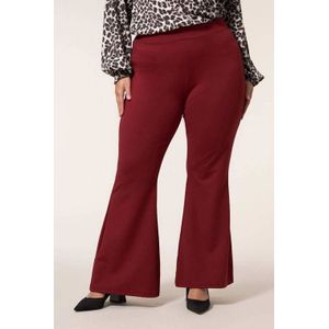 Miss Etam Plus - Flared High Waist Broek - Donkerrood