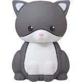 USB-stick - Kattenontwerp - 64 GB - Compact