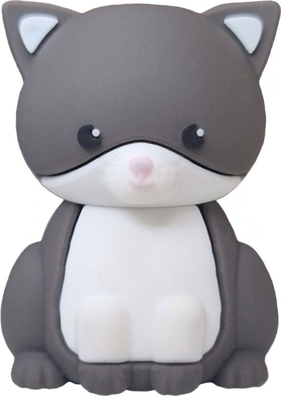 USB-stick - Kattenontwerp - 64 GB - Compact