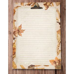 Briefpapier - 24 vellen A4 formaat - Leaves - Meer Leuks - Postpapier Blaadjes / Herfst