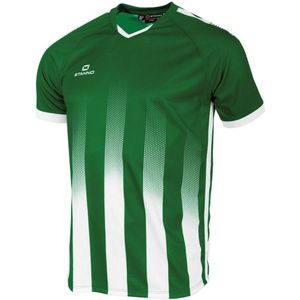 Stanno - Vivid Shirt - Groen - Sportshirt