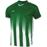 Stanno - Vivid Shirt - Groen - Sportshirt - 100% Gerecycled Polyester