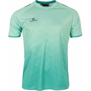 Stanno - Altius Keeperstenue - Mint Grijs - Polyester - Compleet met Shirt en Sokken