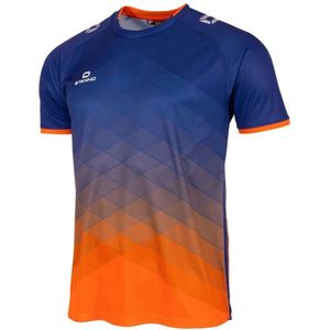 Stanno Sportshirt Altius - Blauw met Gerecycled Polyester