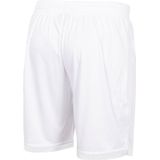 Stanno Focus Shorts II Sportbroek