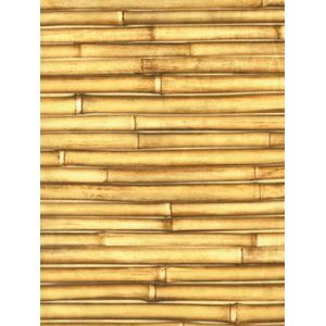 Décopatch papier- decopatch 901 - Decopatch luxe papier - 30x40cm - Bamboo