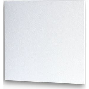 Licht korrel infrarood stralingspaneel met LED en ontvanger 600W